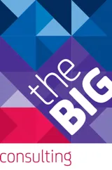 The Big Consulting